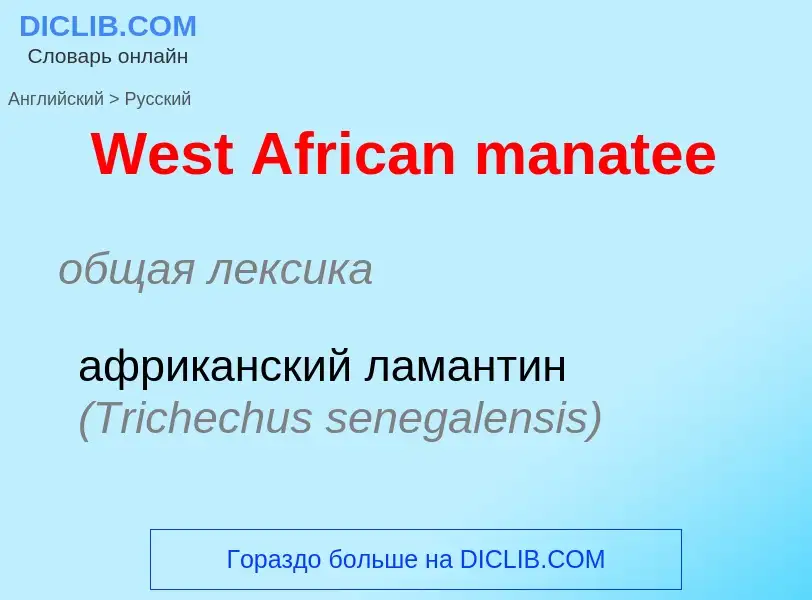 Μετάφραση του &#39West African manatee&#39 σε Ρωσικά