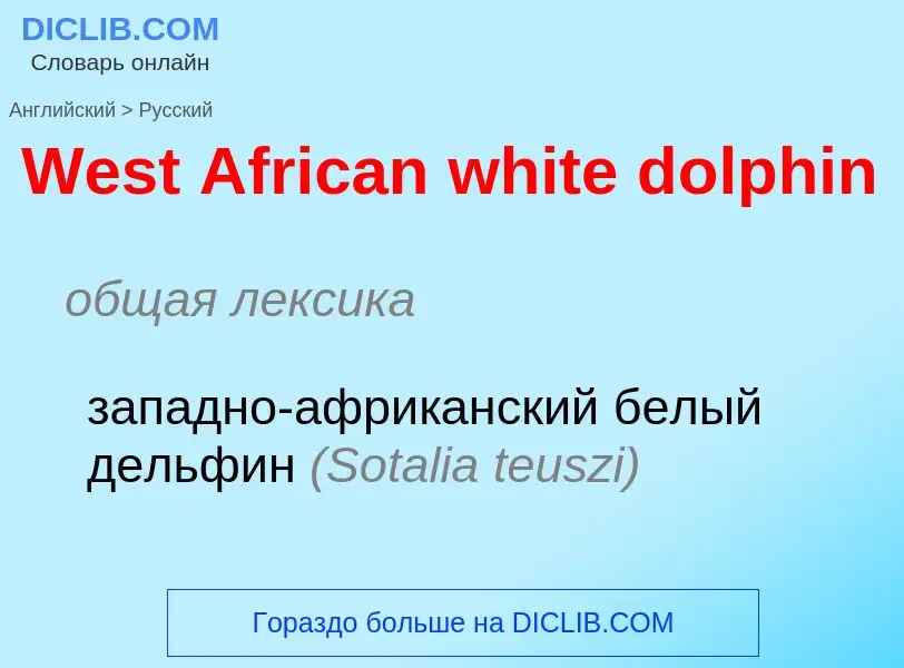 Μετάφραση του &#39West African white dolphin&#39 σε Ρωσικά