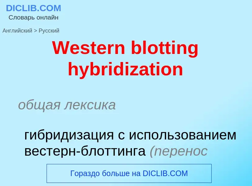 Μετάφραση του &#39Western blotting hybridization&#39 σε Ρωσικά