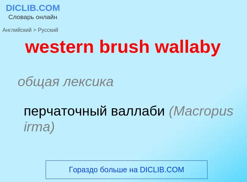 What is the Russian for western brush wallaby? Translation of &#39western brush wallaby&#39 to Russi