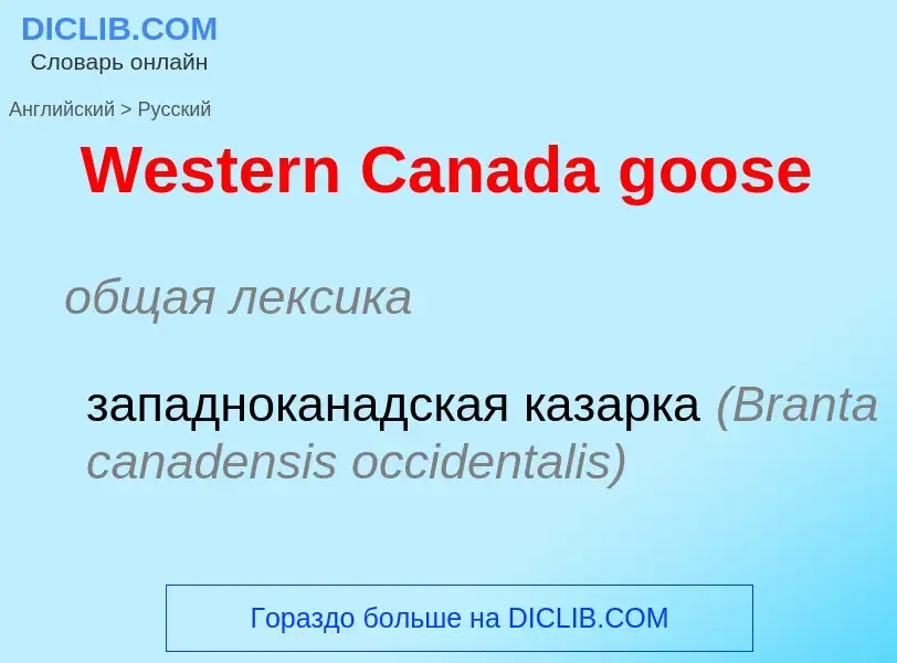 Μετάφραση του &#39Western Canada goose&#39 σε Ρωσικά