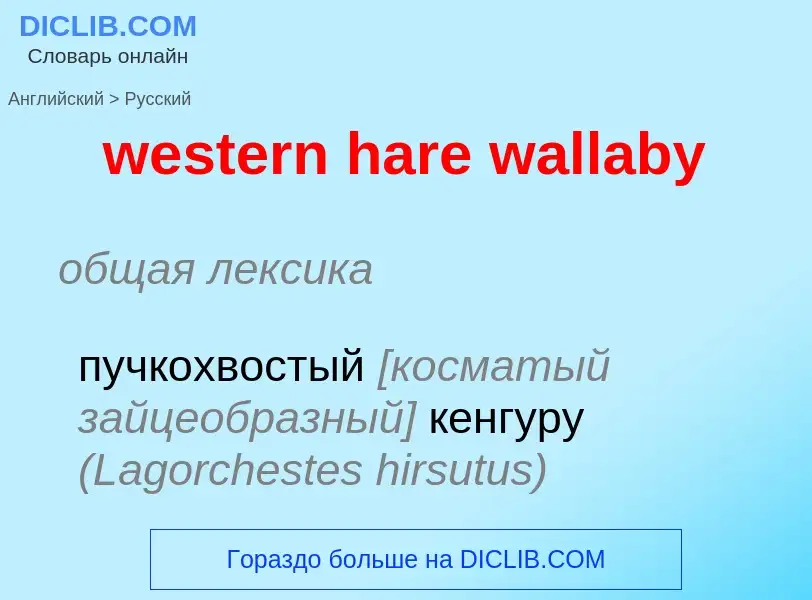 What is the Russian for western hare wallaby? Translation of &#39western hare wallaby&#39 to Russian