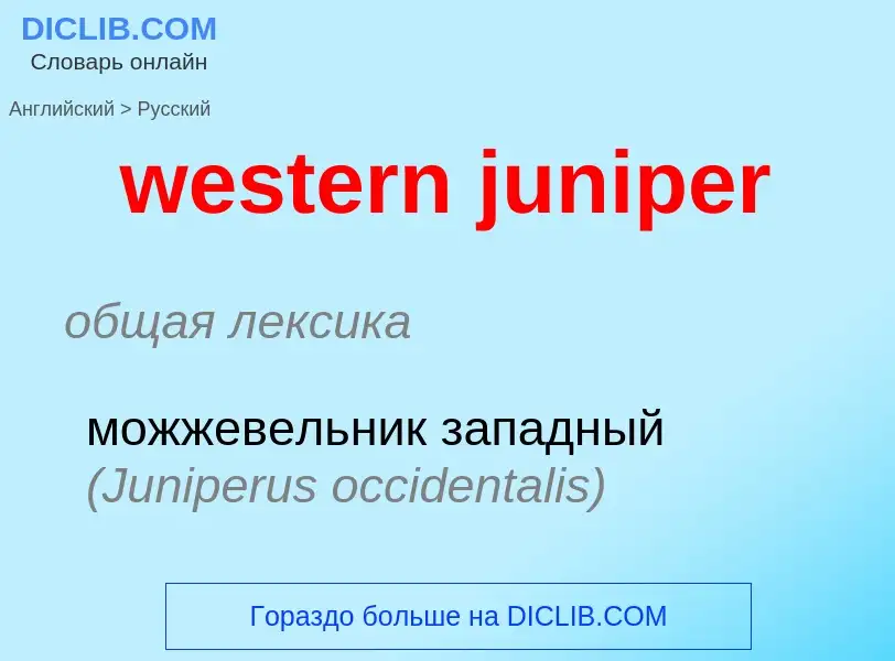 Как переводится western juniper на Русский язык