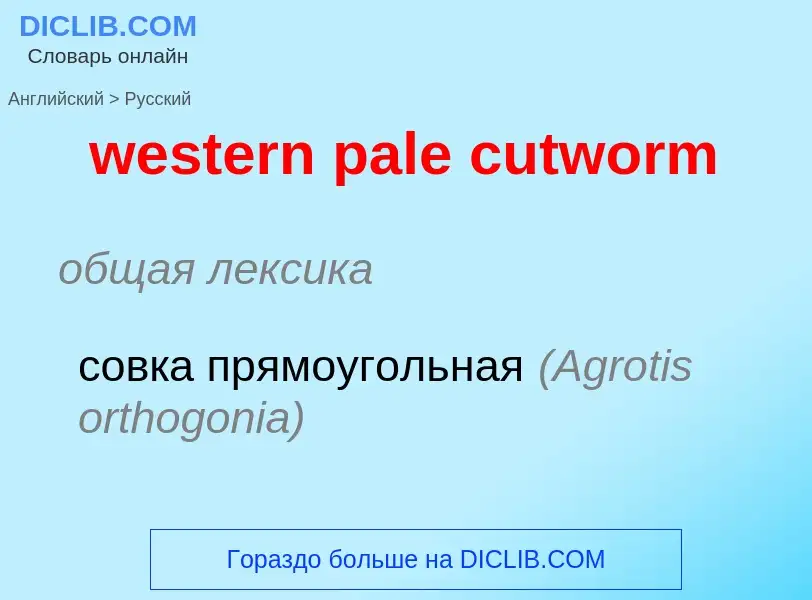 Как переводится western pale cutworm на Русский язык