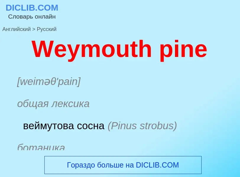 Μετάφραση του &#39Weymouth pine&#39 σε Ρωσικά