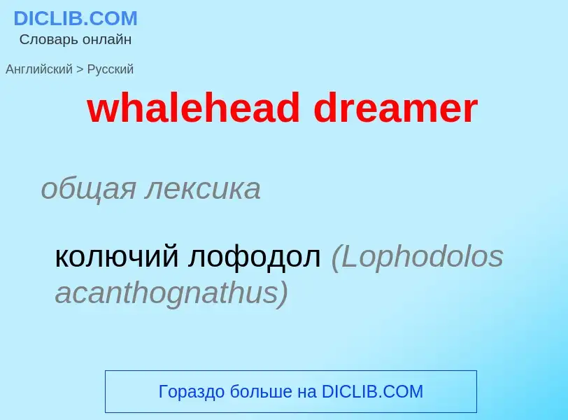 Μετάφραση του &#39whalehead dreamer&#39 σε Ρωσικά