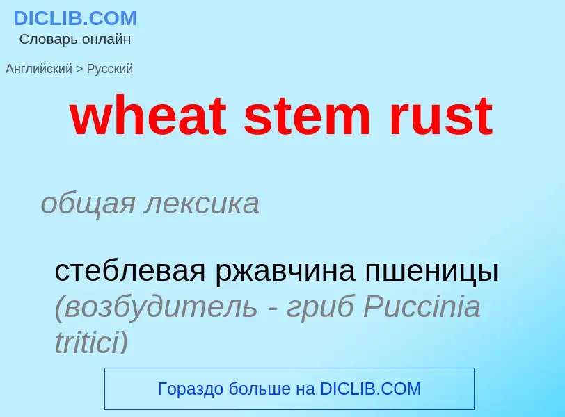 Как переводится wheat stem rust на Русский язык