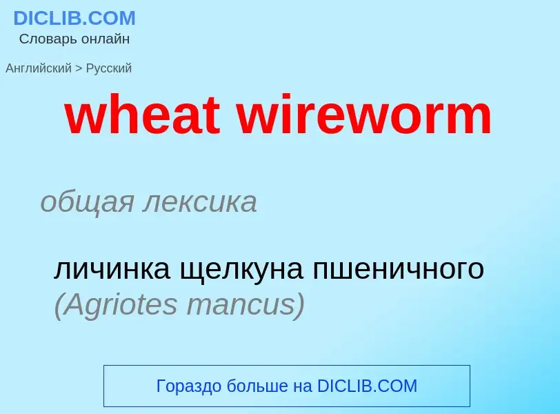 Traduzione di &#39wheat wireworm&#39 in Russo