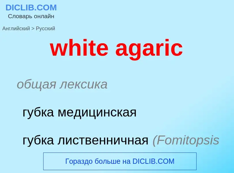 Traduction de &#39white agaric&#39 en Russe