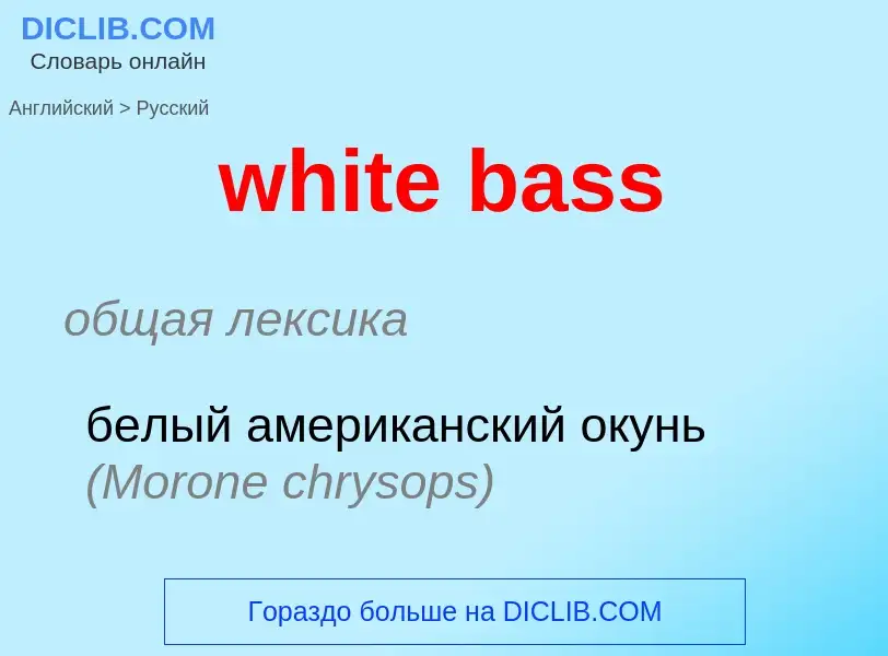 Как переводится white bass на Русский язык