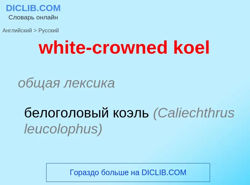 Como se diz white-crowned koel em Russo? Tradução de &#39white-crowned koel&#39 em Russo