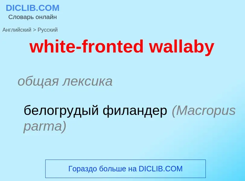 What is the Russian for white-fronted wallaby? Translation of &#39white-fronted wallaby&#39 to Russi