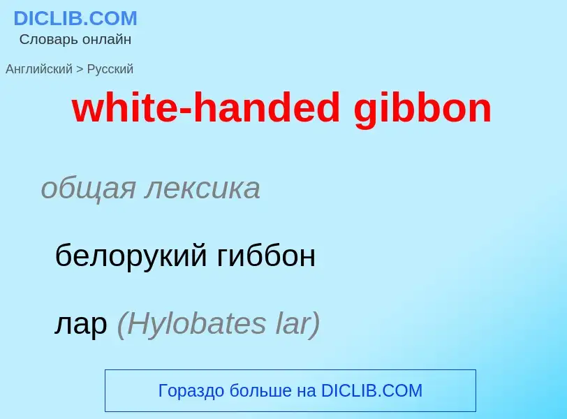 Как переводится white-handed gibbon на Русский язык