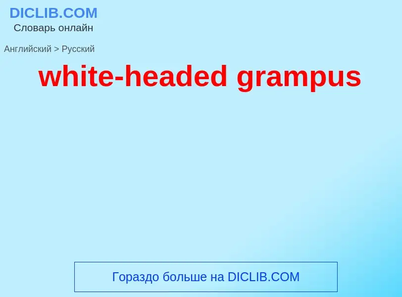 Como se diz white-headed grampus em Russo? Tradução de &#39white-headed grampus&#39 em Russo