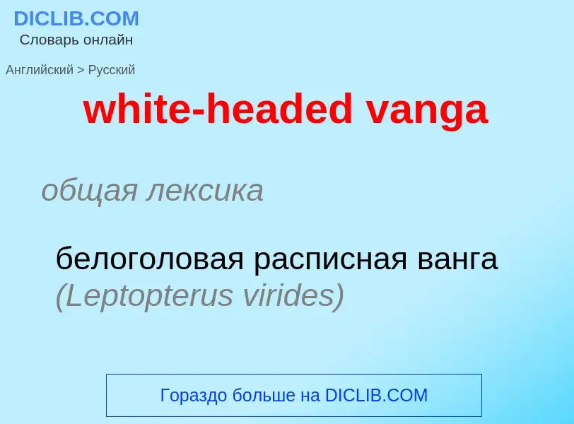 Как переводится white-headed vanga на Русский язык