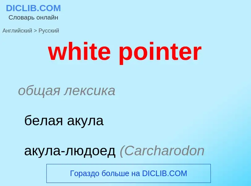 What is the Russian for white pointer? Translation of &#39white pointer&#39 to Russian