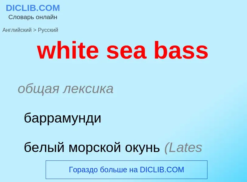 Как переводится white sea bass на Русский язык