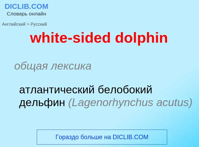 Как переводится white-sided dolphin на Русский язык