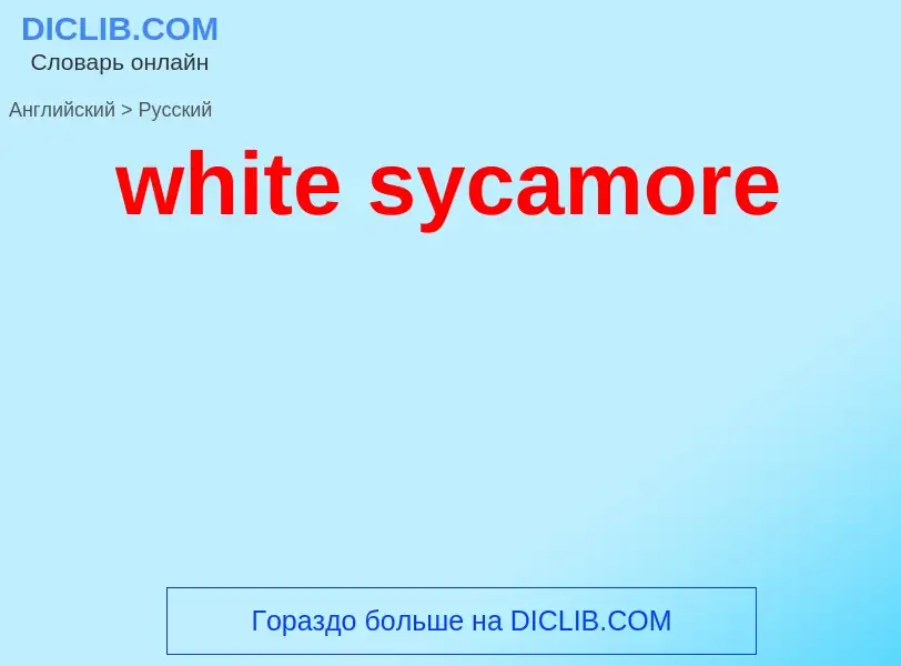 Como se diz white sycamore em Russo? Tradução de &#39white sycamore&#39 em Russo