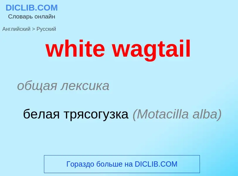 Μετάφραση του &#39white wagtail&#39 σε Ρωσικά