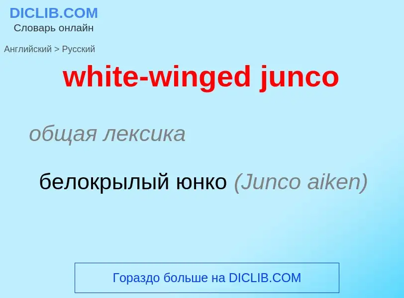 Как переводится white-winged junco на Русский язык