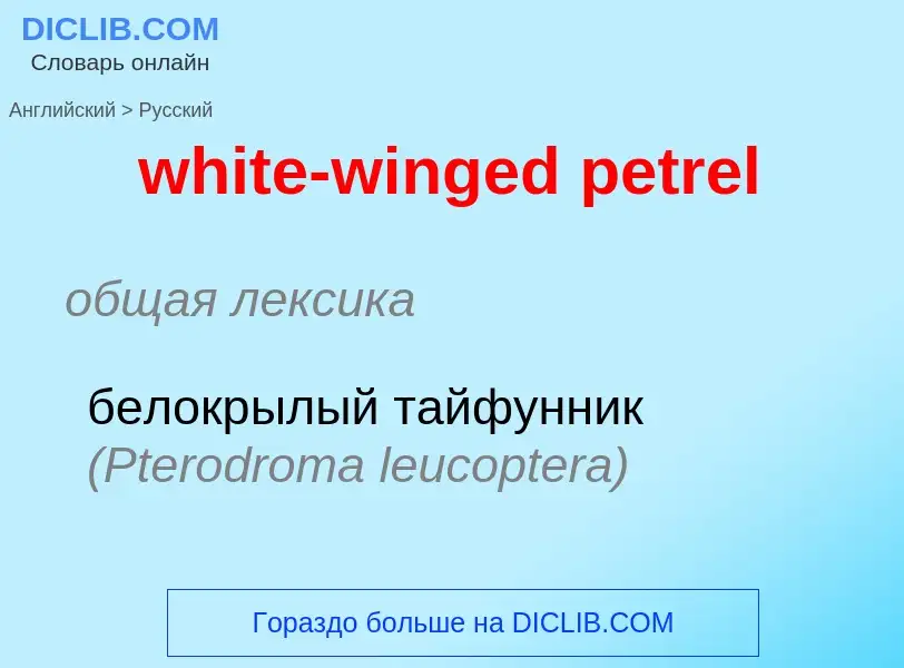 Как переводится white-winged petrel на Русский язык