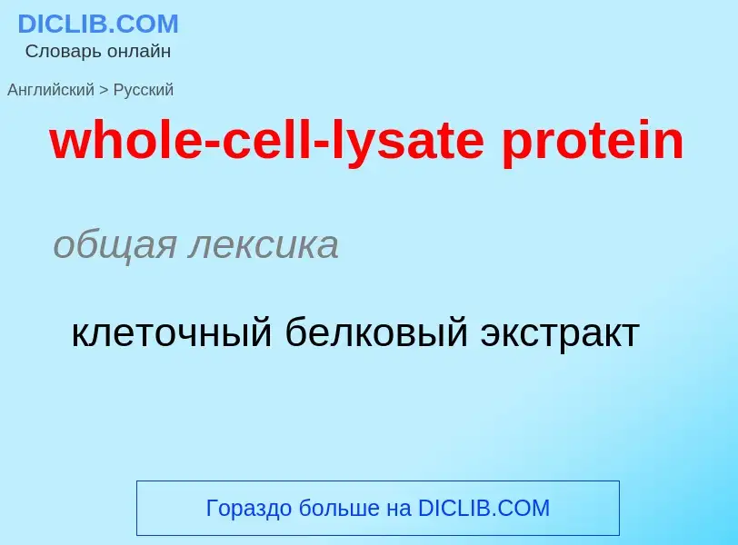 ¿Cómo se dice whole-cell-lysate protein en Ruso? Traducción de &#39whole-cell-lysate protein&#39 al 