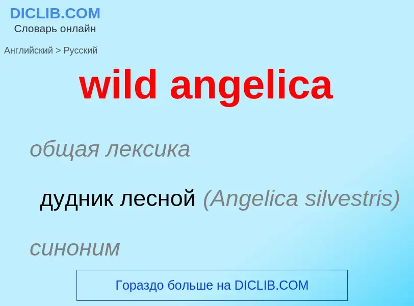 ¿Cómo se dice wild angelica en Ruso? Traducción de &#39wild angelica&#39 al Ruso