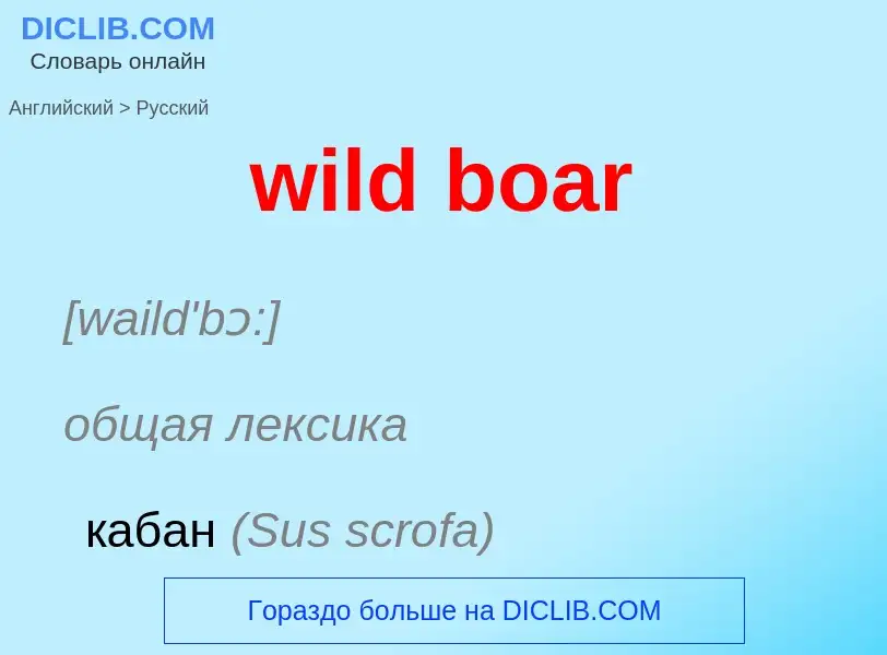 ¿Cómo se dice wild boar en Ruso? Traducción de &#39wild boar&#39 al Ruso