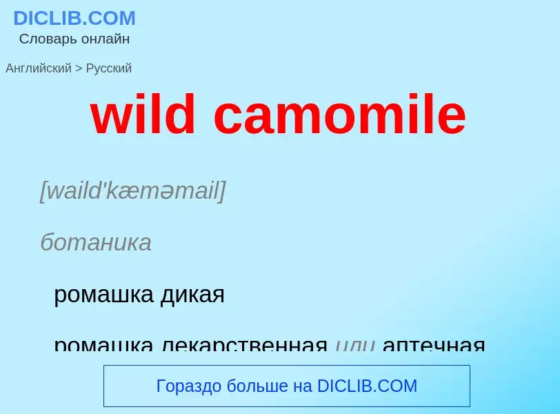 Vertaling van &#39wild camomile&#39 naar Russisch