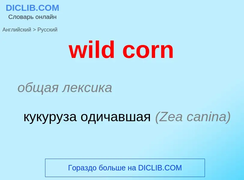 Как переводится wild corn на Русский язык