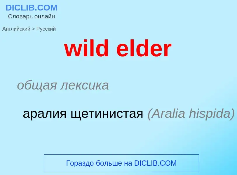 Vertaling van &#39wild elder&#39 naar Russisch