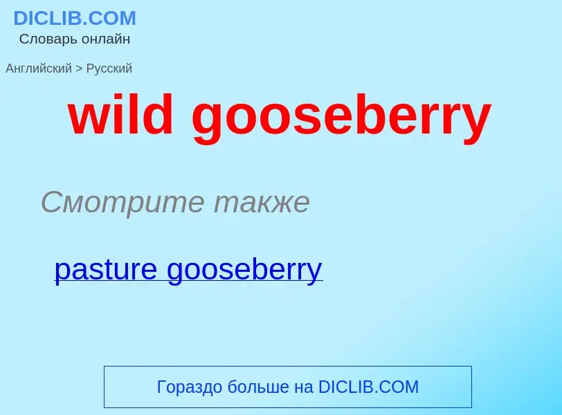 What is the Russian for wild gooseberry? Translation of &#39wild gooseberry&#39 to Russian