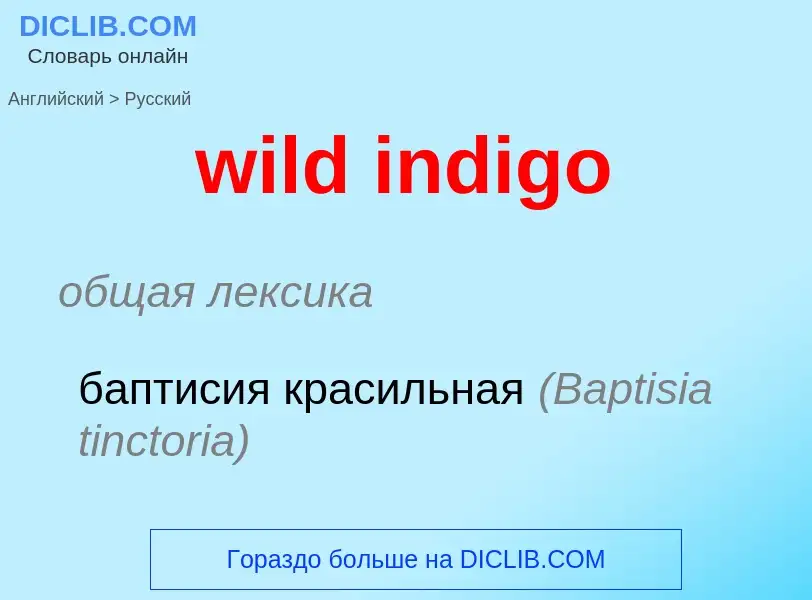 Vertaling van &#39wild indigo&#39 naar Russisch