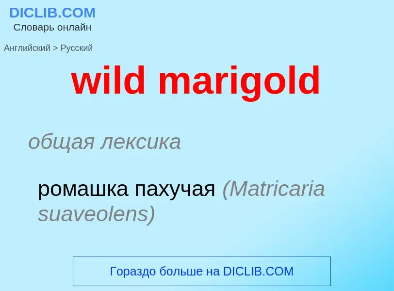 Как переводится wild marigold на Русский язык