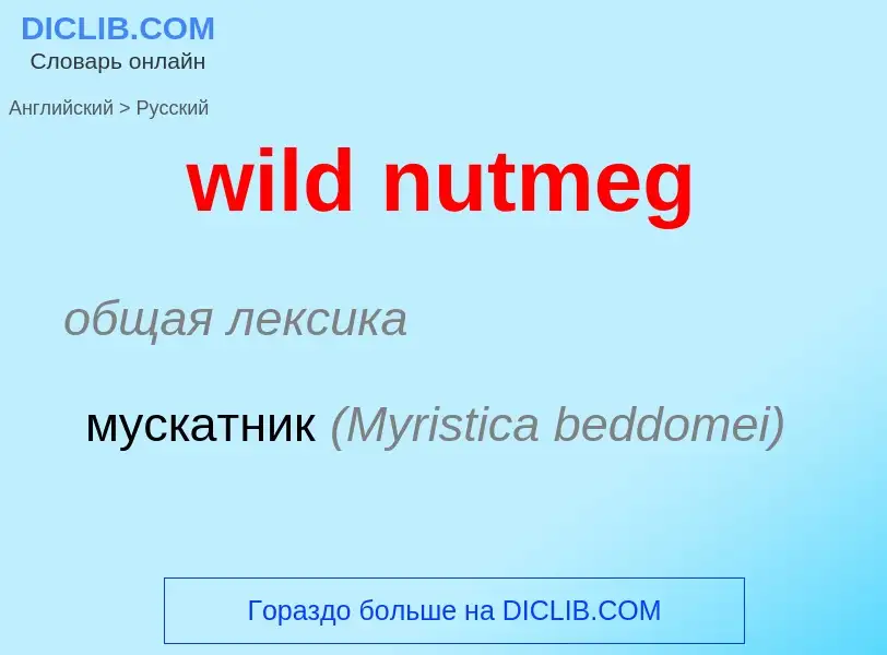 Как переводится wild nutmeg на Русский язык