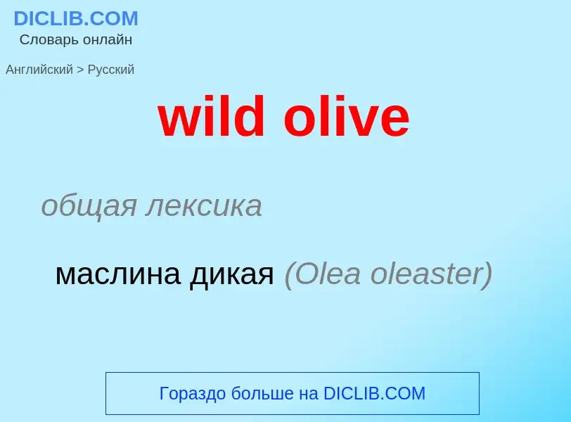 Как переводится wild olive на Русский язык