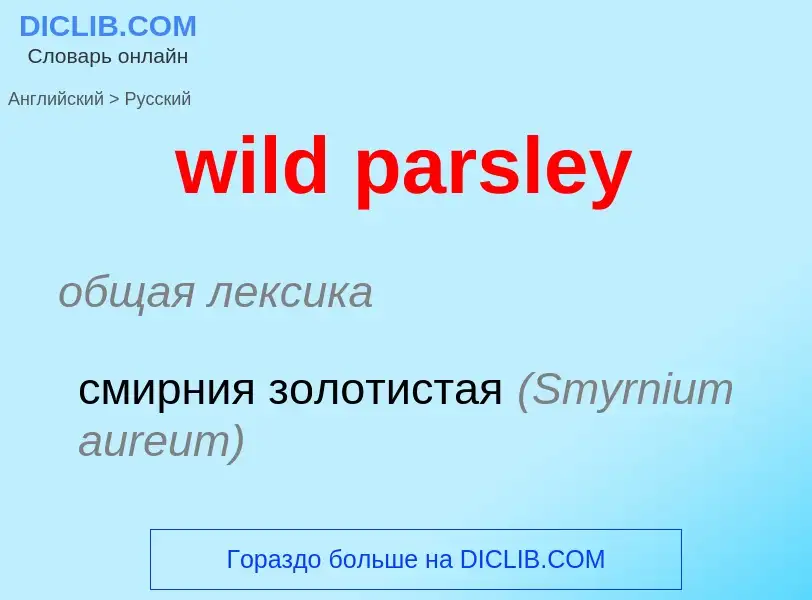 Как переводится wild parsley на Русский язык