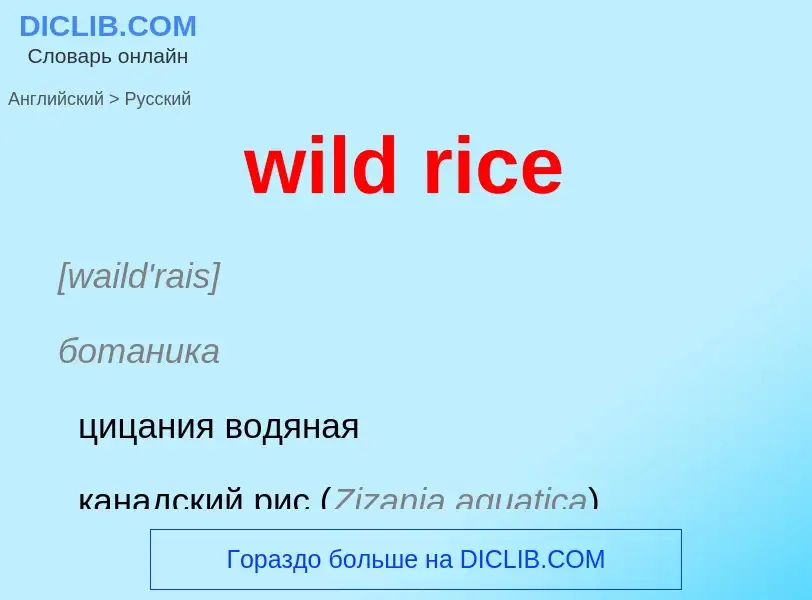 Как переводится wild rice на Русский язык