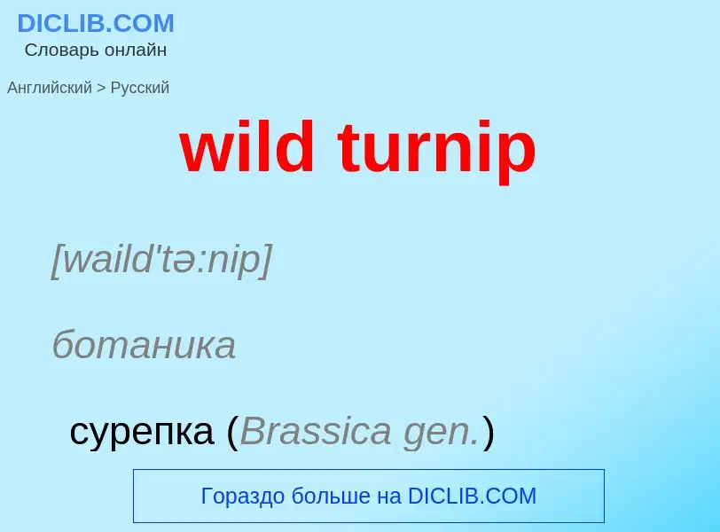 Как переводится wild turnip на Русский язык