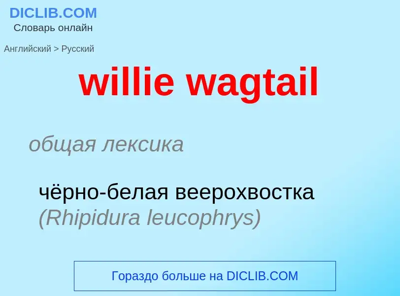 Μετάφραση του &#39willie wagtail&#39 σε Ρωσικά