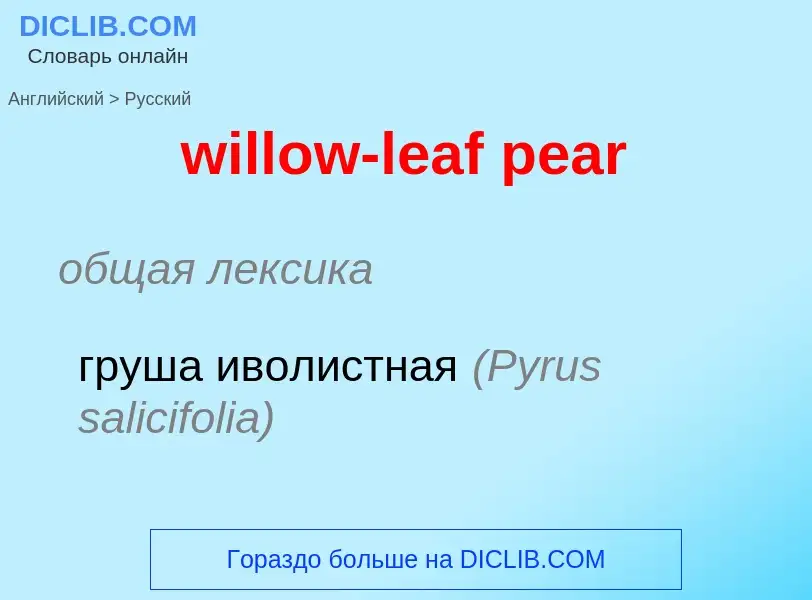 Как переводится willow-leaf pear на Русский язык