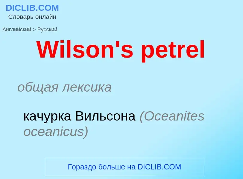 Μετάφραση του &#39Wilson's petrel&#39 σε Ρωσικά