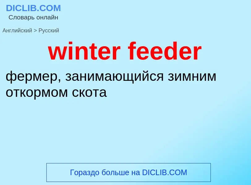 Как переводится winter feeder на Русский язык