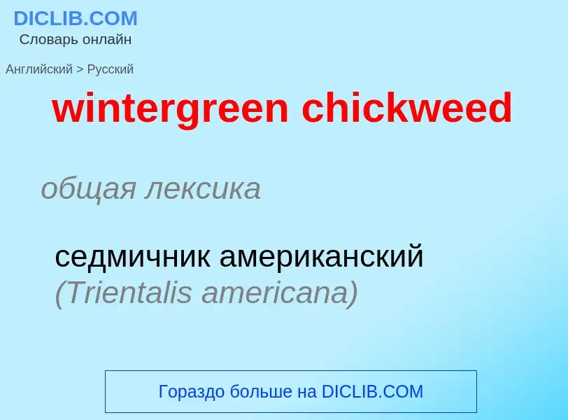 Vertaling van &#39wintergreen chickweed&#39 naar Russisch