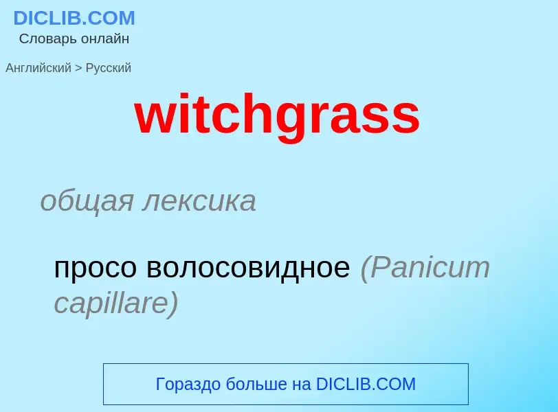 Как переводится witchgrass на Русский язык