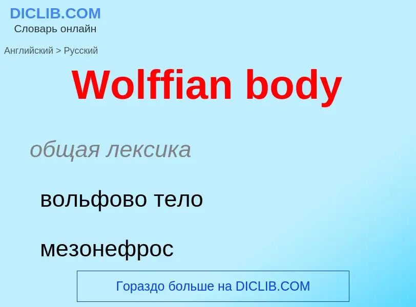 Μετάφραση του &#39Wolffian body&#39 σε Ρωσικά