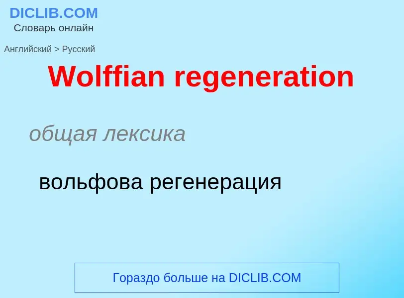 What is the Russian for Wolffian regeneration? Translation of &#39Wolffian regeneration&#39 to Russi