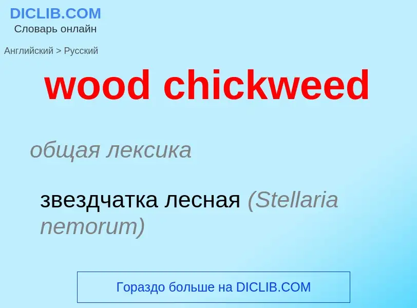 Vertaling van &#39wood chickweed&#39 naar Russisch