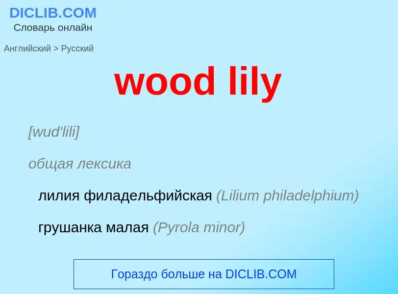 Как переводится wood lily на Русский язык